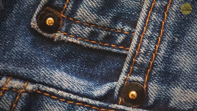Kamu Nggak Akan Pernah Kekurangan Bahan Obrolan: 15 Fakta Menarik dan Unik смотреть онлайн