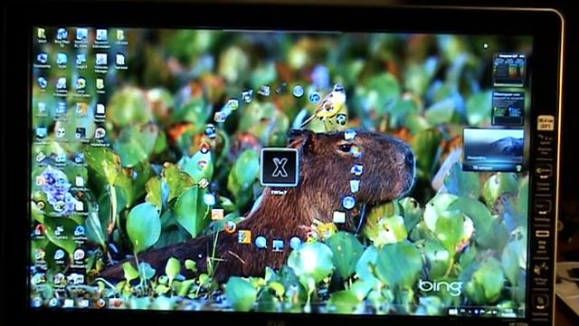 M2U01132 смотреть онлайн