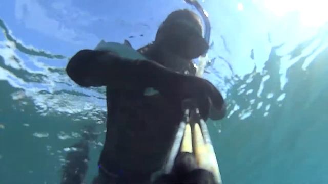 Подводная охота в ноябре средиземное море Барселона.10.11.2020.