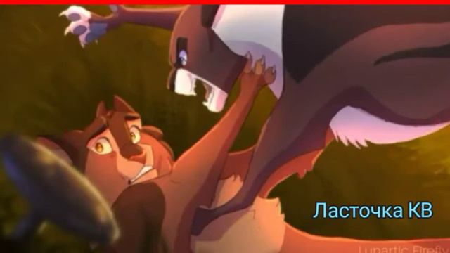 История Ежевики смотреть онлайн