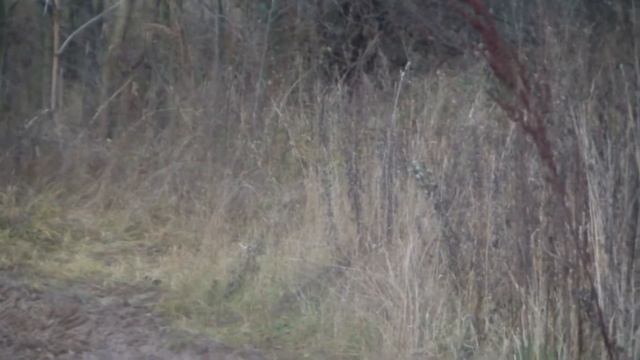 НИВА 2121 РУССКИЙ ТАНК. ТЕСТ ДРАЙВ И ЕЁ ВОЗМОЖНОСТИ смотреть онлайн