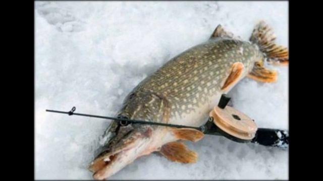 Купить приманки для рыбной ловли смотреть онлайн