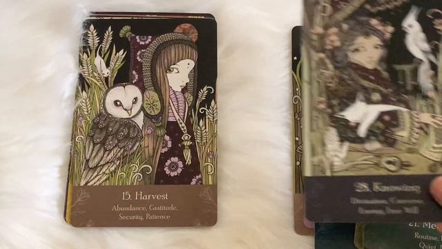 Universal Folk Oracle + Review смотреть онлайн