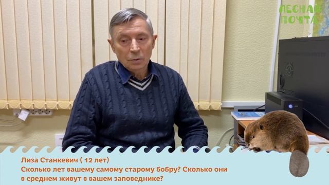 Лесная почта — Сколько живут бобры? Геннадий Катаев смотреть онлайн