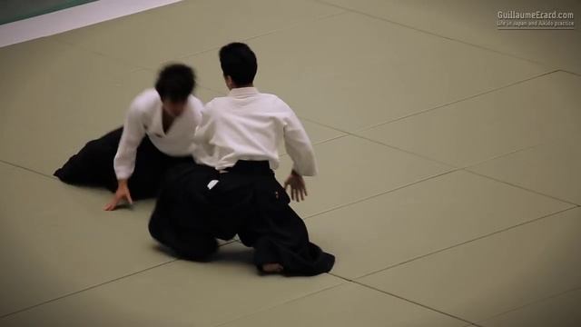 53-я Всеяпонская демонстрация айкидо (2015). (Вака-сенсей) Мицутеру Уэсиба