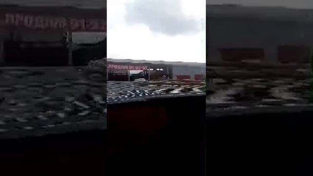 В Чёрной реке ловят рыбу смотреть онлайн