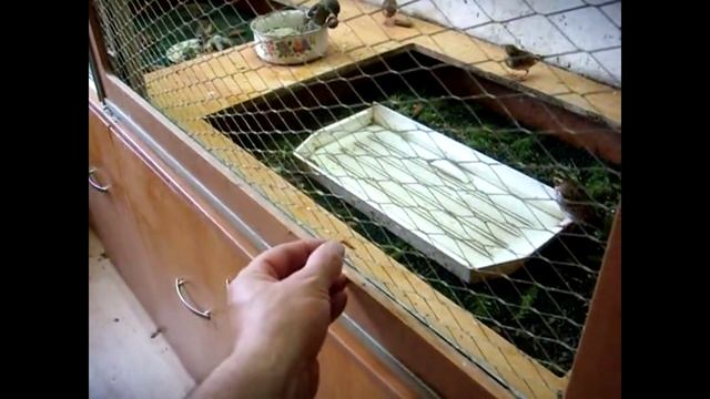 овсянки ремеза