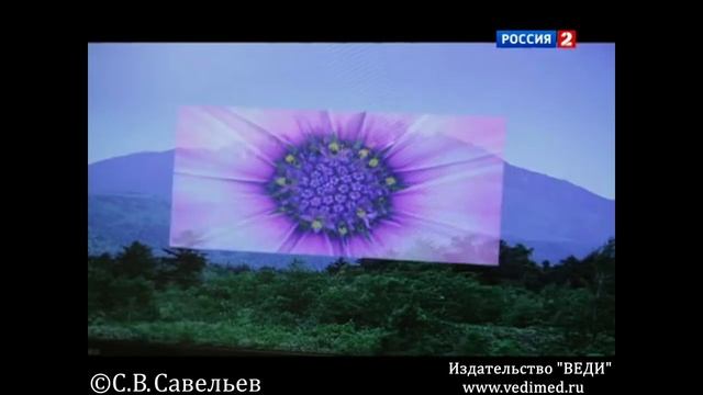 С.В. Савельев про влияние интернета на человека. смотреть онлайн