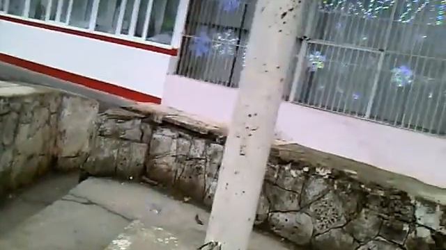корали жрачки 2 смотреть онлайн