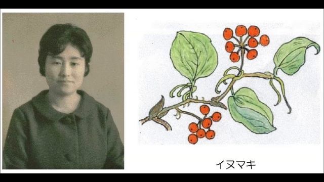 天谷洋子＝中塚洋子の館 Yoko A.= N. 's  HOUSE 《 交響曲ト長調 YOKO 》第一楽章(呈示部反復無し)Symphony In G Major [YOKO]