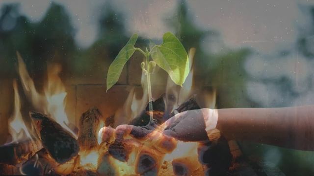 Как быть счастливее и от чего зависит ваше счастье? смотреть онлайн