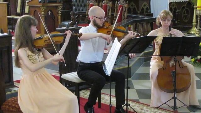Струнный ансамбль Импреза. Евгений Дога.. Вальс из к\ф "Мой ласковый и нежный зверь". смотреть онлайн