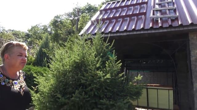 КОГДА НАЧИНАТЬ ПЕРЕСАДКУ РАСТЕНИЙ? ОСЕНЬ. ПРИГЛАШАЕТ МАЭСТРО МАЖОР смотреть онлайн