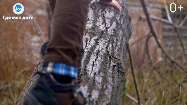 Где мои дети – приложение для родителей смотреть онлайн