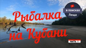 Ловля на фидер на реке Кубань Краснодар  В поиске Леща  Часть 1 Разведка