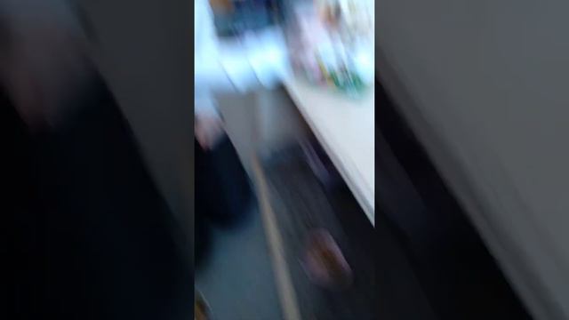 Что больше нравится крысам?/Даю крысам разные лакомства🐀🍌🍍 смотреть онлайн