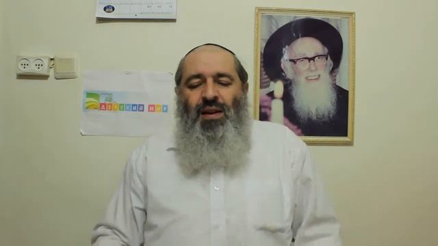 Белые курицы смотреть онлайн