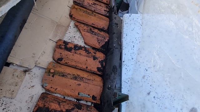 Что будет если размножится потомство крыс на даче # 42 смотреть онлайн