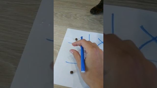 Крестики - нолики смотреть онлайн