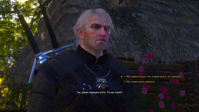 The Witcher 3: Wild Hunt. КВЕСТ - О чем говорят лошади смотреть онлайн