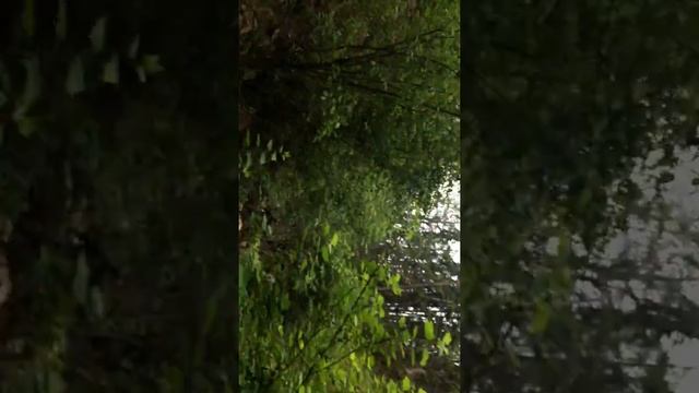 Водопад. Еланка. Якутия. 2015. ПП-14 смотреть онлайн