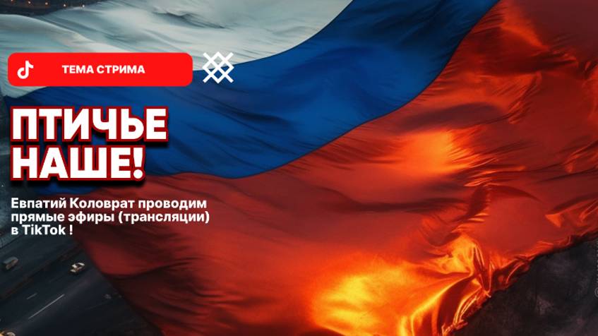 ЕВПАТИЙ КОЛОВРАТ Live Stream ПТИЧЬЕ НАШЕ смотреть онлайн