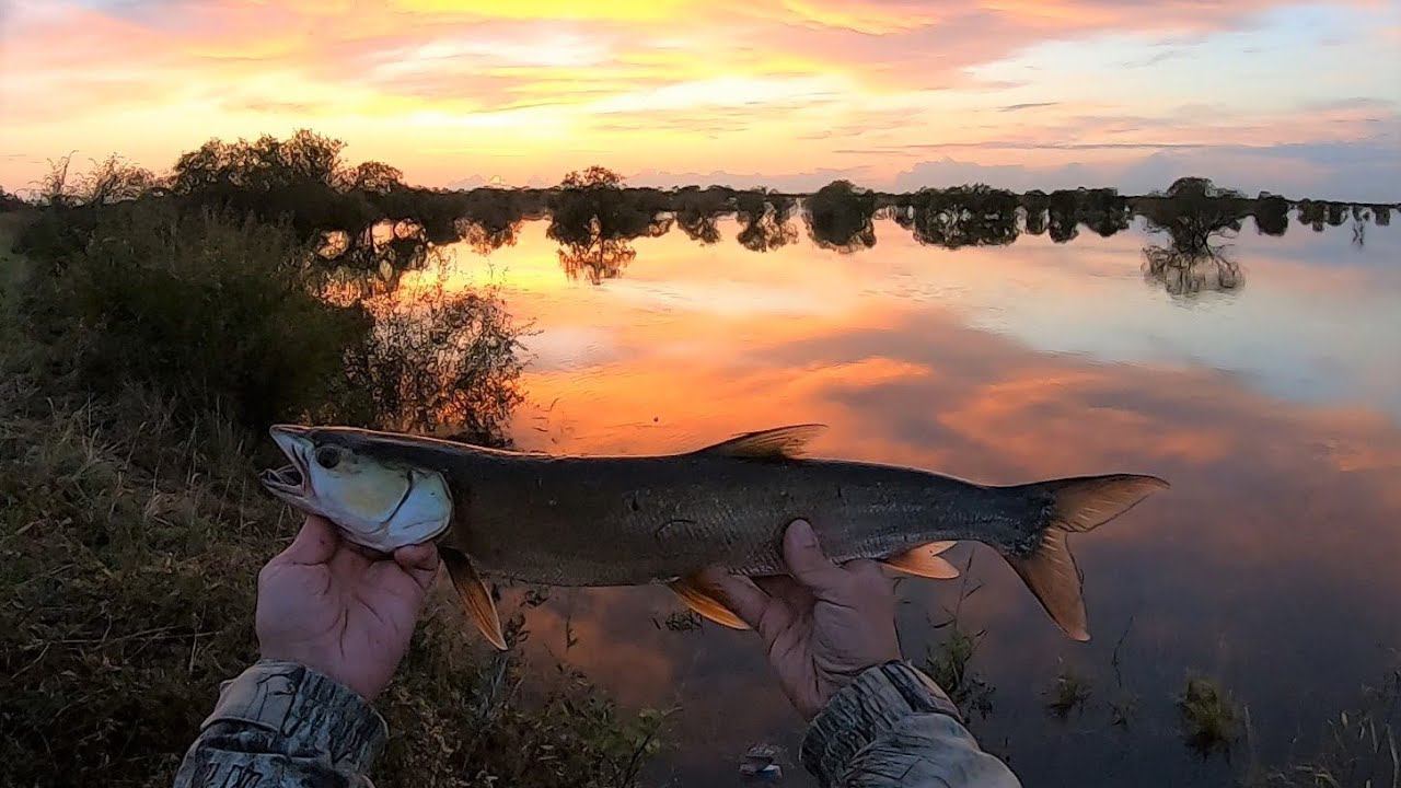 РЫБАЛКА В НАВОДНЕНИЕ. Рыбалка на СПИННИНГ. Поймал хищника на блесну. Желтощек на амуре. смотреть онлайн