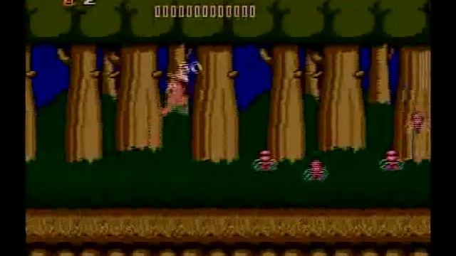 Adventure Island (NES) - Level 7-4 - Perfect Run (Recorded on Wii Virtual Console) смотреть онлайн