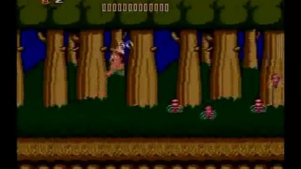 Adventure Island (NES) - Level 7-4 - Perfect Run (Recorded on Wii Virtual Console)