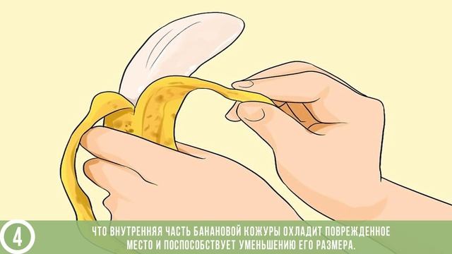 Мастерство и Жизненная Гармония