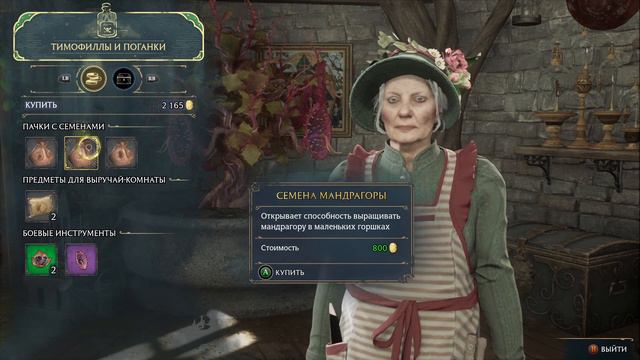 Задача профессора Чесноук 1 - прохождение квеста Hogwarts Legacy смотреть онлайн