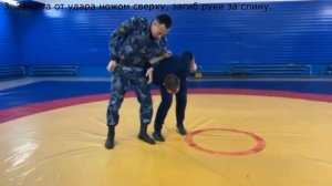 Билет 10. Боевые приемы борьбы. Подготовка сотрудников УИС к ежеквартальным КПЗ.