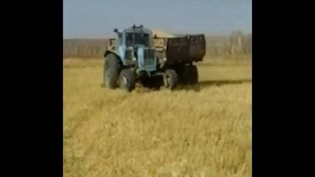 "МТЗ-82 свечка" смотреть онлайн