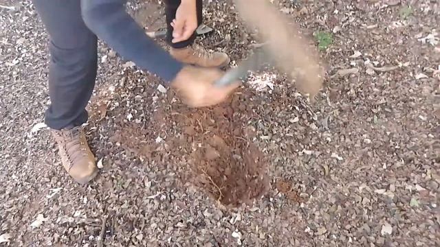 detectorismo com o detector de metal gold monster 1000 (detectorismo raiz) achado, botija, you toba смотреть онлайн