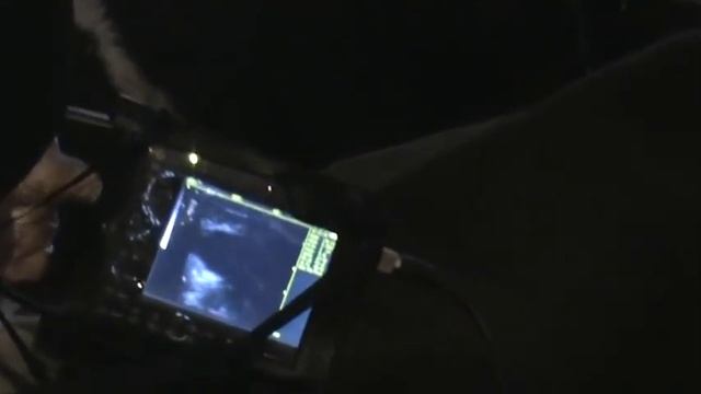 УЗИ коров смотреть онлайн