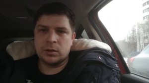 Перепела как бизнес или как получить из них максимальную прибыль