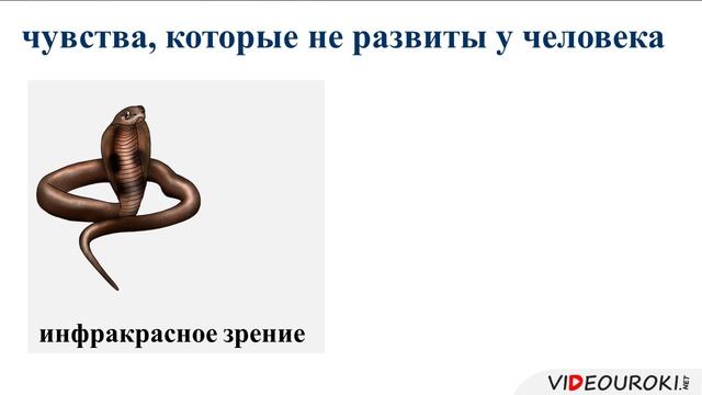 5 класс. 01. Информация вокруг нас смотреть онлайн