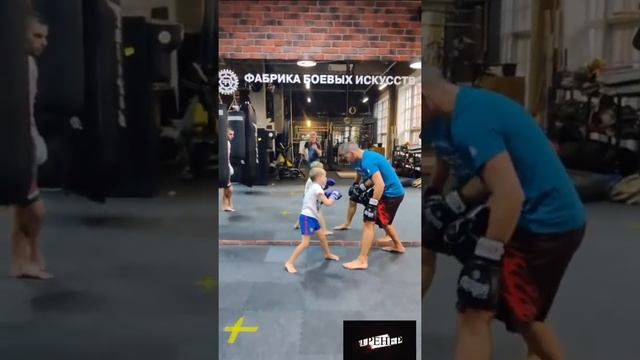Уклоны в боксе или как уклоняться от прямых ударов. Защита от ударов в боксе смотреть онлайн
