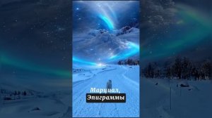 Крылатая латынь. Знаки тут