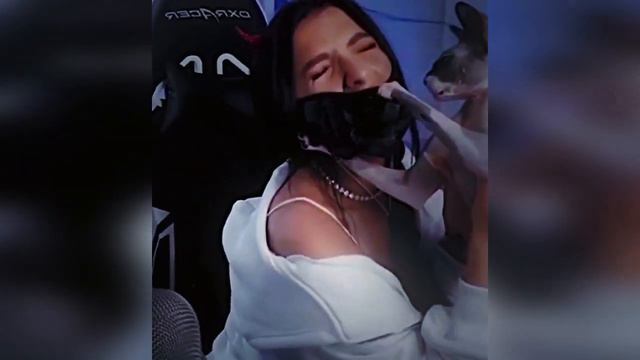 Кот на стриме снял маску с Tenderlybae и показал её нос смотреть онлайн