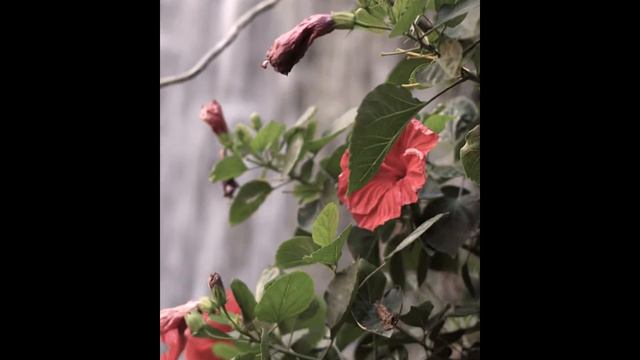 Фотоальбом МАЙОРКА 2010.mpg смотреть онлайн