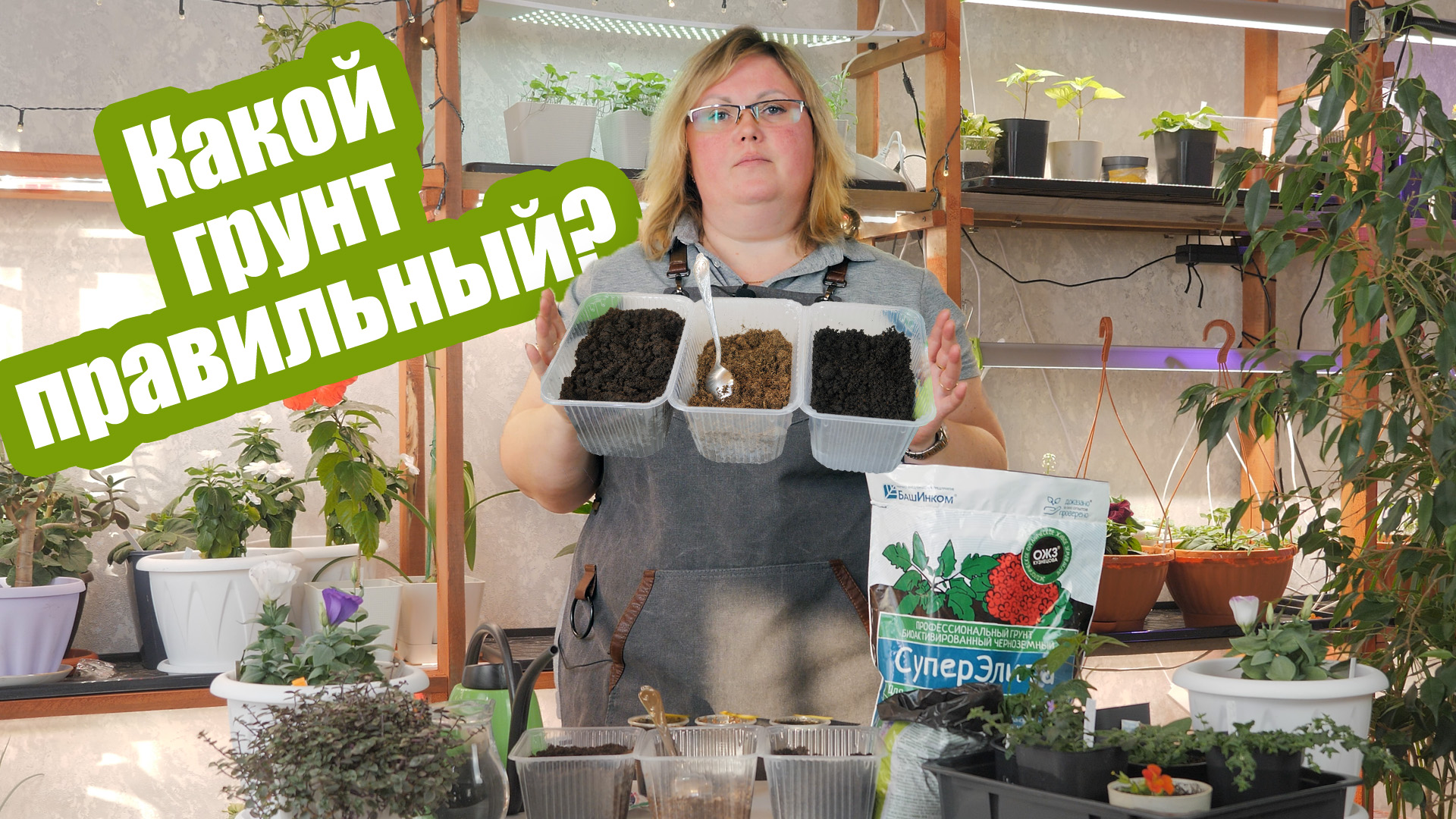 Грунт для рассады: как правильно выбрать и составить. Почвосмесь в которой растет все! смотреть онлайн