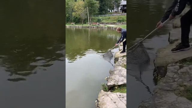 Nother day at fairy lake!! New catch!! The bite was ON смотреть онлайн