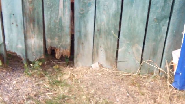 Роев Ручей 10 часть смотреть онлайн