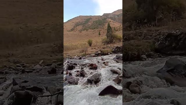 горная река в ущелье Шамши смотреть онлайн