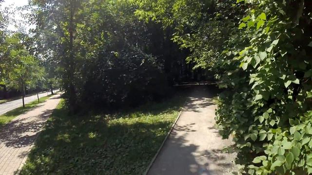 Зелень. Деревья. Природа | v772 o964 смотреть онлайн