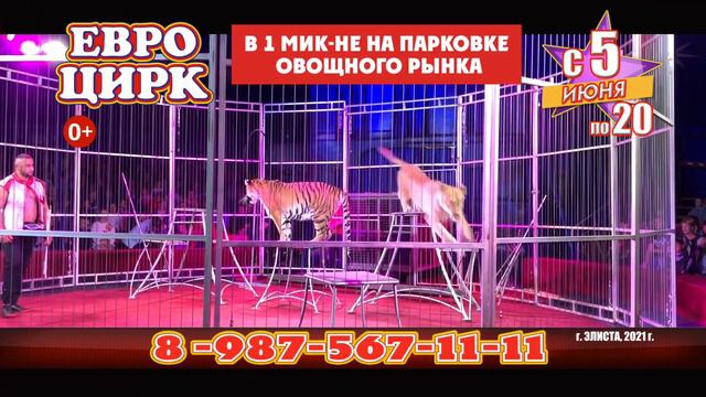 ЕВРО ЦИРК в Элисте! С 5 по 20 июня! смотреть онлайн