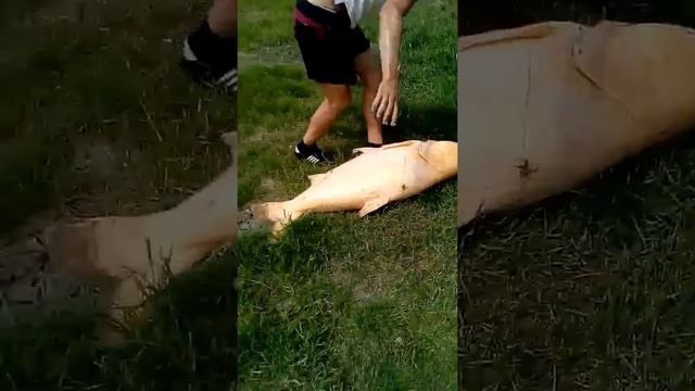 Рыбалка в Выселках смотреть онлайн