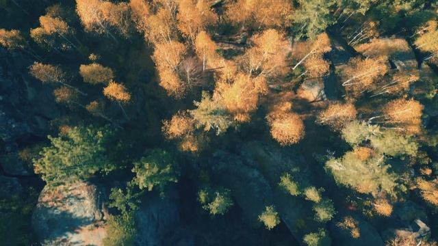 Скальник Лев и Танки / Fujifilm X-t20 / Dji Mavic Air Cinematic