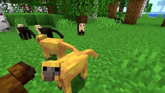 ? MOD TORTILLA LAND 2 | REVIEW Alex's Mobs | Minecraft JAVA ,PE,Bedrock 1.19 / 1.18.2 y 1.16.5 смотреть онлайн